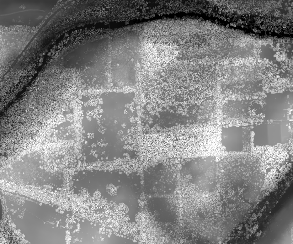 All Return LiDAR Elevation Model