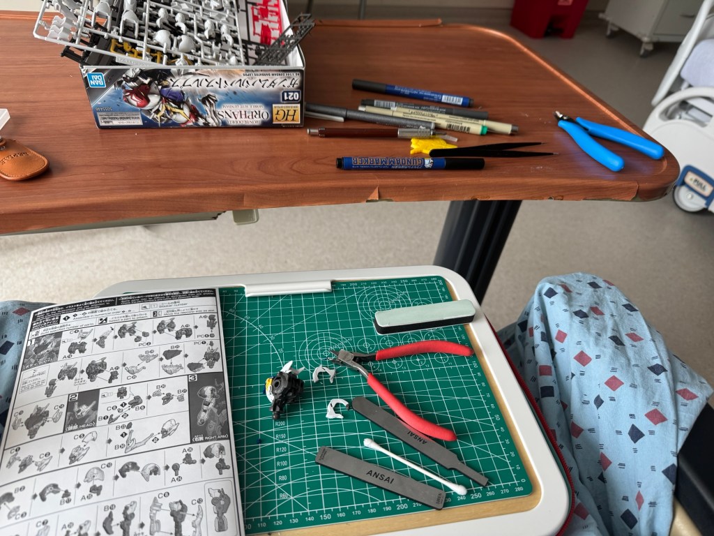 Justin's GIS Blog - My Cancer Journey – Updated February 16